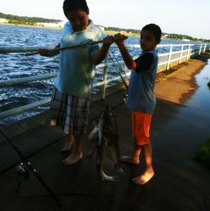 Meet your Posher, Juan jose